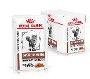ROYAL CANIN Veterinary Gastrointestinal Moderate Calorie Cat 85 gm