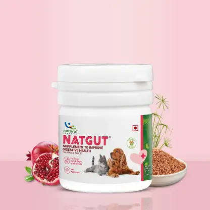 Natural Remedies | Natgut | 20 tablets