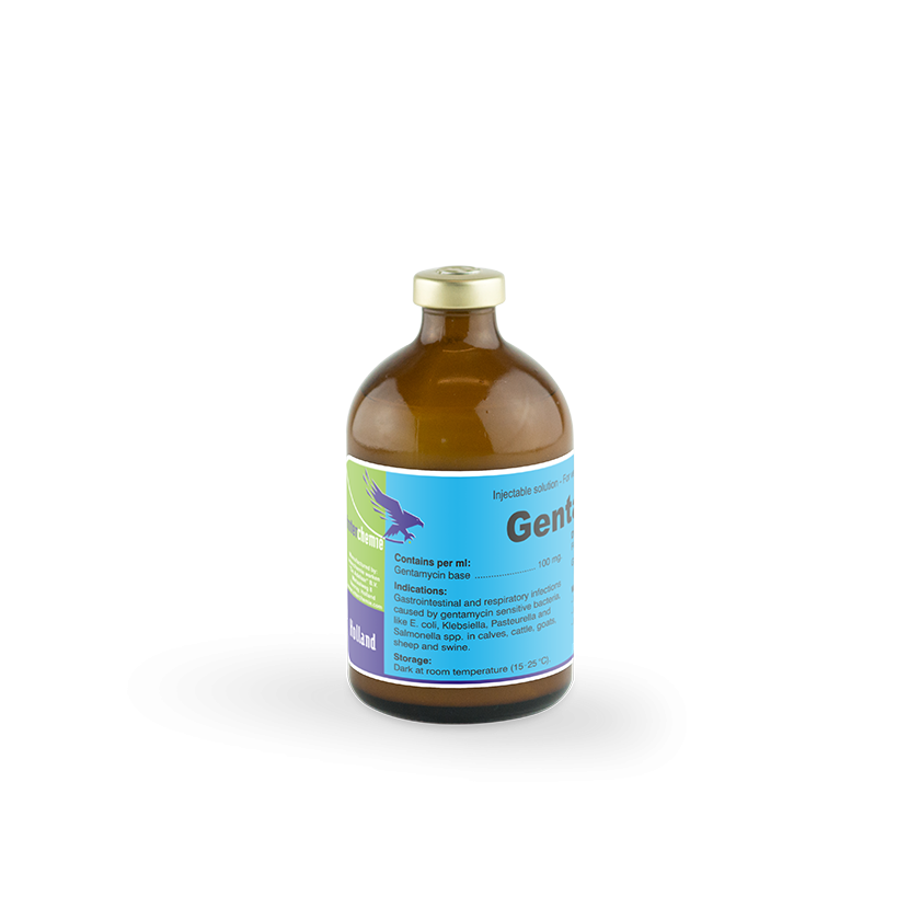 INTERCHEMIE | GENTA-100 gentamicin 10% injection | 100 ml