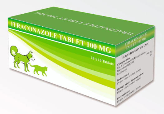 INDIAN ITRACONAZOLE TABLET 100 mg | 10 tablets