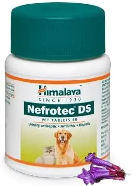 HIMALAYA Nefrotec Ds Tablets 60 Tablets