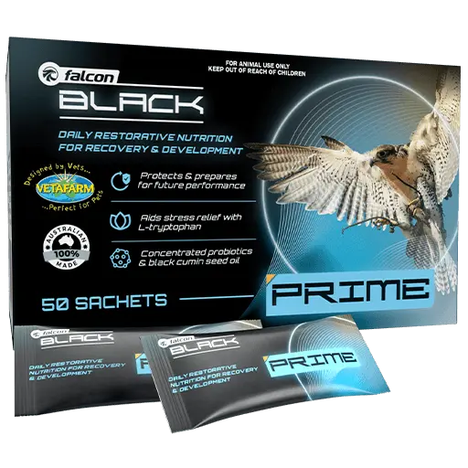 VETAFARM Falcon Black Prime 50 sachets (UAE Stock)