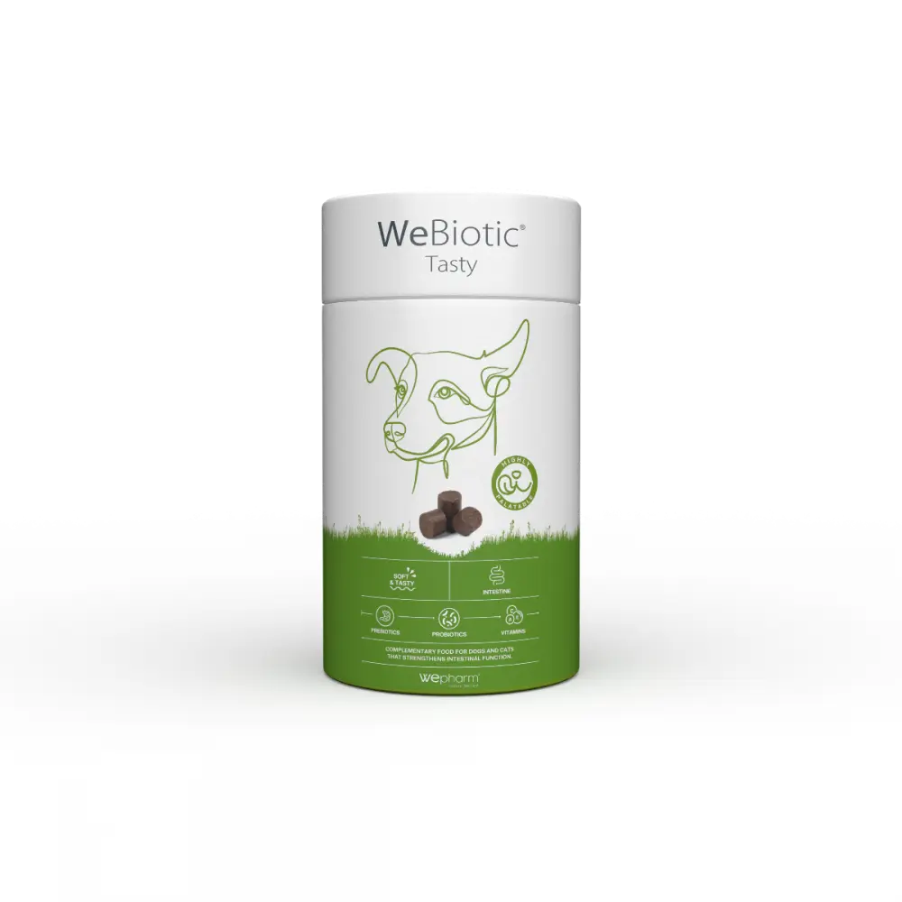 WEPHARM WeBiotic Tasty 30 Chews 