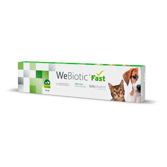 WEPHARM WeBiotic Fast Paste 15 ml 