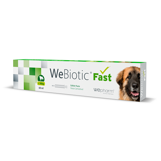 WEPHARM WeBiotic Fast Paste 60 ml 