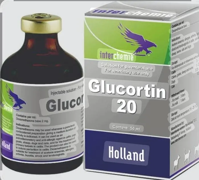 INTERCHEMIE Glucortin-20  2mg/ml 50ml Vial