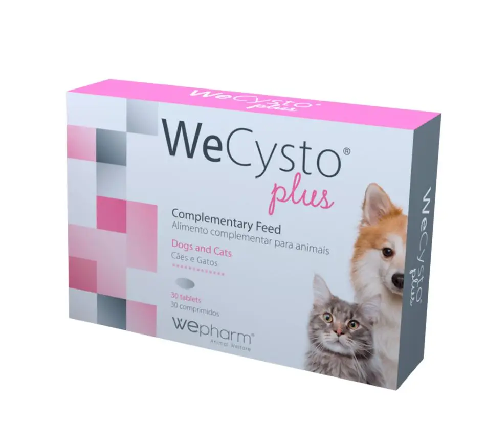 WEPHARM WeCysto Plus 30 Tablets 