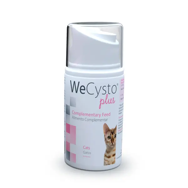  WePharm WeCysto Plus Edible Gel 50 ml 