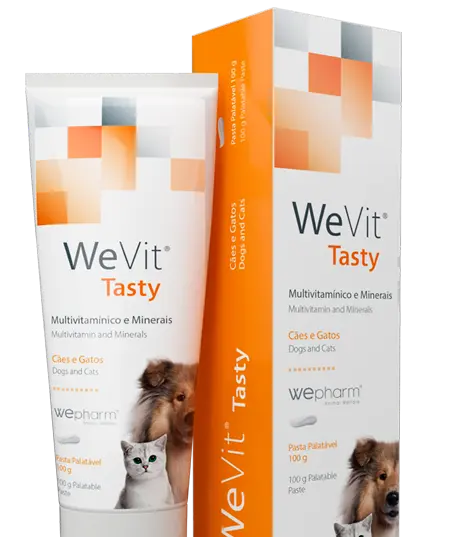WePharm WeVit Tasty 100 gm 