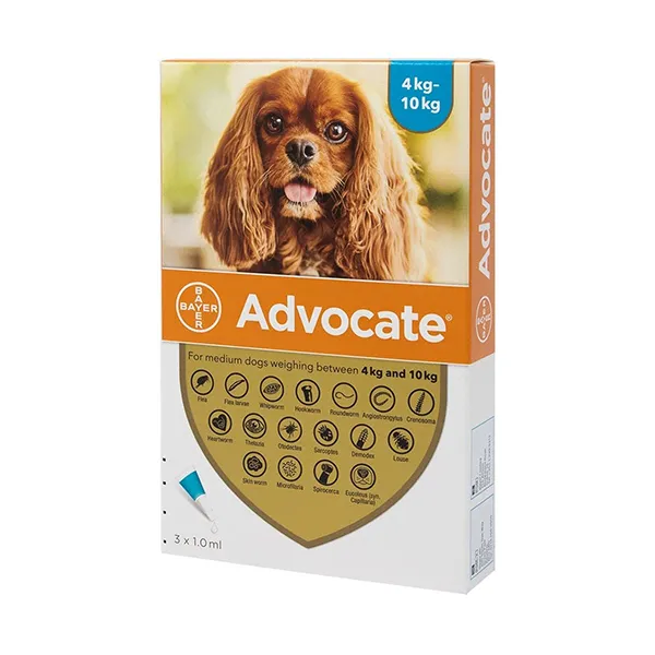 BAYER ADVOCATE for Medium Dogs 4-10 kg 3 Doses