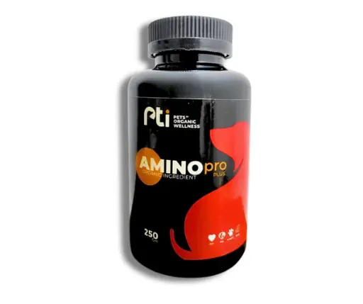 PTI | AMINO PRO Plus | 250 gm