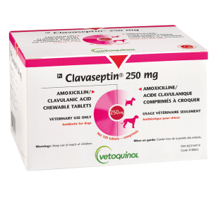 VETOQUINOL | CLAVASEPTIN 250 mg | 10 tablets
