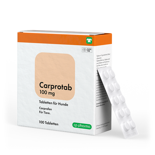 CP PHARMA Carprotab 100 mg 10 tablets