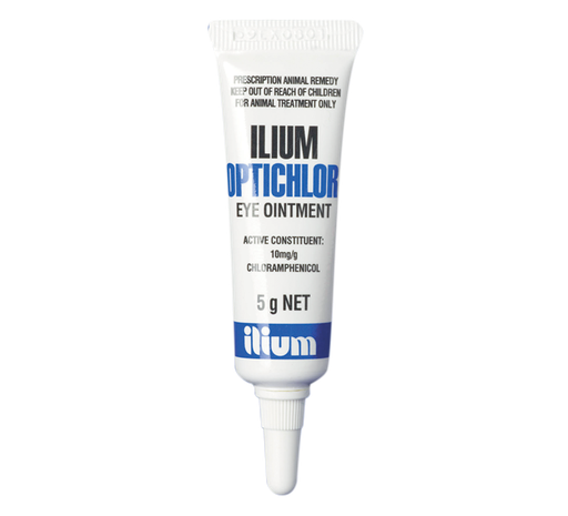 TROY | ILIUM Optichlor Eye Ointment | 5 gm