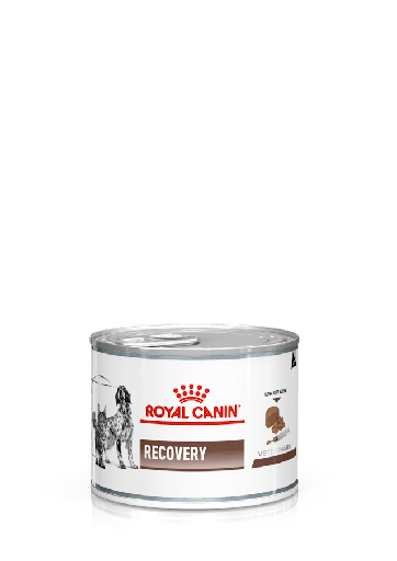 ROYAL CANIN | RECOVERY Ultra Soft Mousse - Diabetic Dogs & Cats | 195 gm 