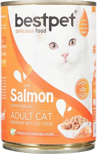 BESTPET | ADULT CAT - Salmon | 400 gm