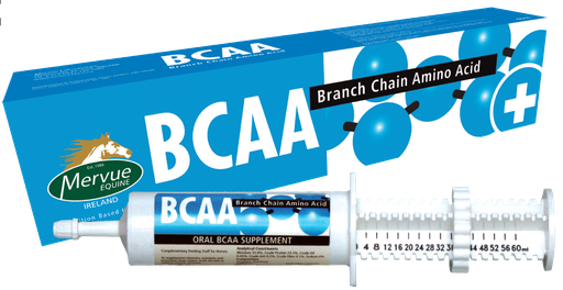 MERVUE | BCAA Branch Chain AMINO Acid | 60 ml