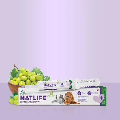 Natural Remedies | Natlife | 30 ML