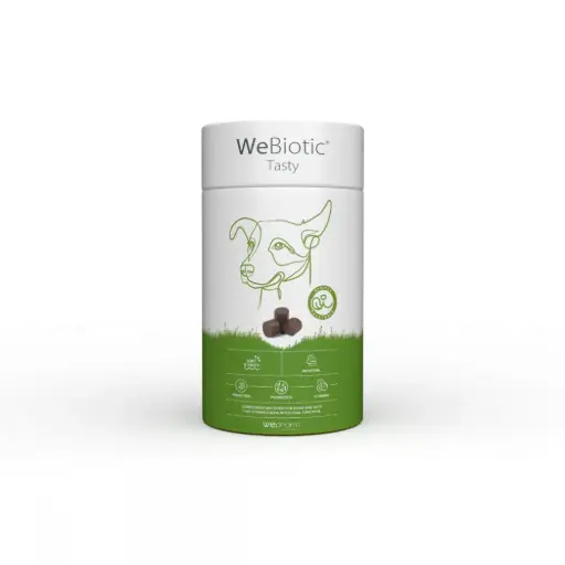 WEPHARM WeBiotic Tasty 30 Chews 